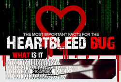 heartbleed infographic